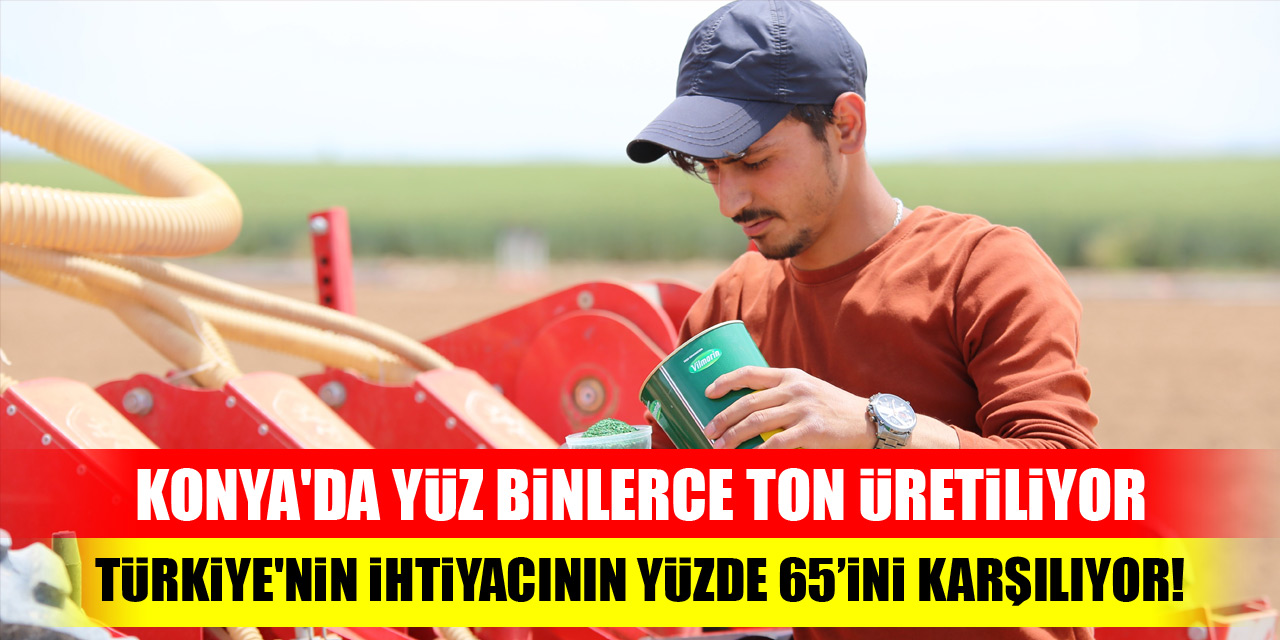 Konya da yüz binlerce ton üretiliyor Türkiye nin ihtiyacının