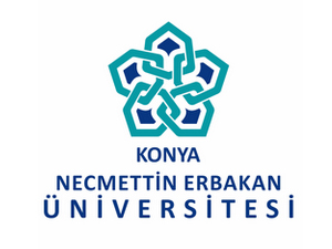 NEÜ'den darbe girişimine kınama