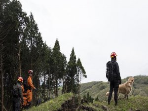 Japonya'da ceza için ormanda bırakılan çocuk bulunamadı