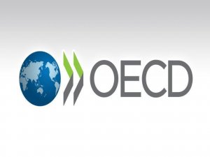 OECD'ye göre Türkiye büyümede Avro Bölgesini geçecek