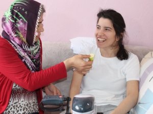 Felçli üniversite öğrencisi, hayalini istiyor
