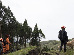 Japonya'da ceza için ormana bırakılan çocuk bulundu