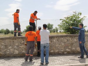 Cihanbeyli’de mezarlıklar onarılıyor