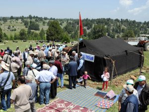 Afrikalı ormancılar Toroslar'da