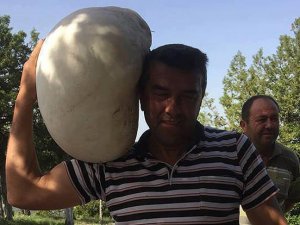 Denizli'de bulunan "dev" mantar şaşırttı