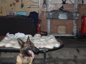Kanas uyuşturucu tacirlerine geçit vermedi