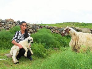 TEOG birincisi Varto'nun gururu oldu