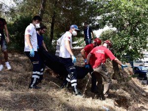 Kayıp iş adamı ormanlık alanda ölü bulundu