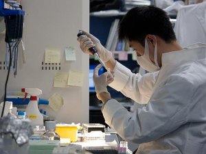 Bilim adamları CO2'yi taşa dönüştürmeyi başardı