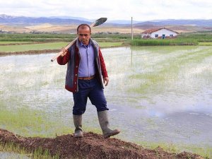 Sabah çiftçi akşam öğrenci