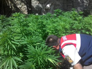 Beyşehir'de uyuşturucu operasyonu