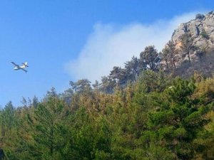 Kemer'de orman yangını