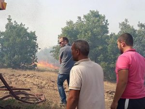 Uşak'ta makilik alanda yangın