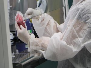 'Kordon kanını başka hastalar için saklayın'