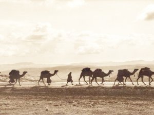 9 ayda kutsal topraklara yolculuk