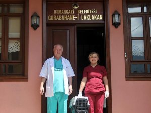 Osmanlı'nın 'leylek hastanesi' şifa dağıtıyor