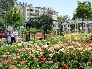 Kültürpark Gülbahçe’de güllerin ahengi