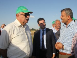 "Türkiye'nin tohumluğunun yüzde 40'ını biz üretiyoruz"