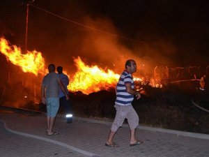 Şiddetli rüzgarda atılan havai fişekler yangına neden oldu