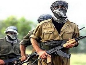 Lice'de 6 terörist yakalandı