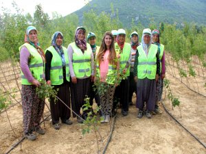 Seydişehir'de hedef 2 milyon 500 bin fidan