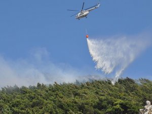 Kaş'ta orman yangını çıktı