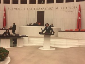 Milletvekili Aydemir’e yeni görev