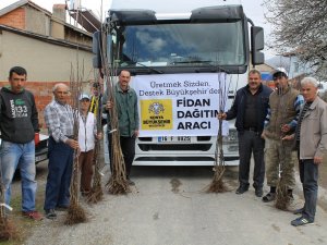 Büyükşehir’den fide ve fidan desteği