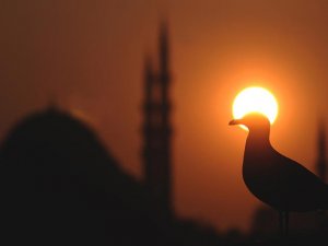'Türkiye'yi sevmemiz için çok sebep var'