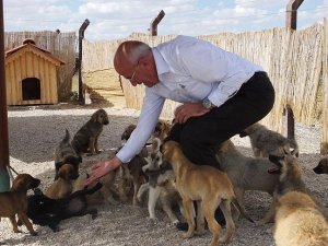 Ürgüp'te sokak hayvanlarına kötü muamele iddiası