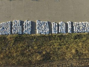 Kenevirlerin silaha dönüştürülmesi engellendi