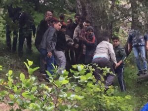 Giresun’da askeri helikopter düştü: 7 şehit, 8 yaralı