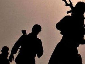 PKK Bahçesaray Kaymakamlığı'na saldırdı