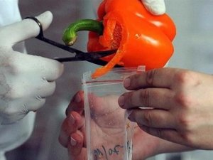 Gıda ambalajları 'akıllanacak'