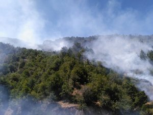 Kızılcahamam'da yangın
