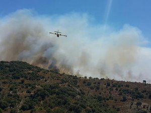 Bodrum'da makilik alanda başlayan yangına müdahale ediliyor