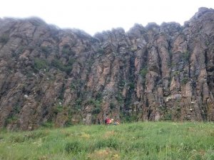 Kars'ta ayı saldırısı: 2 ölü, 2 yaralı