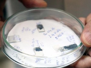 Kuantum parçacıklarıyla güneşten daha fazla elektrik üretilecek