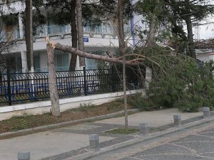 Meteorolojiden 5 il için kuvvetli rüzgar uyarısı