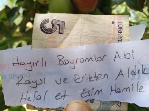 İzinsiz meyve aldığı bahçenin sahibine not bıraktı