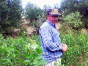 Vahşet! Eşini düğünde döverek öldürdü