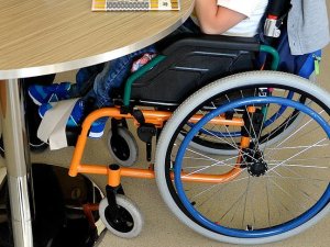 'Türkiye'de her bin doğumdan üçü spina bifidalı'