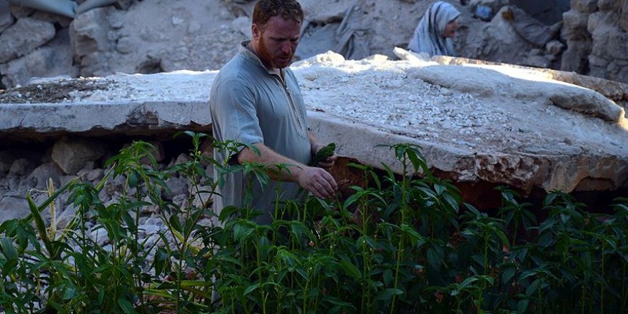 Halep'te 'yıkıntılar arasında' sebze bahçesi