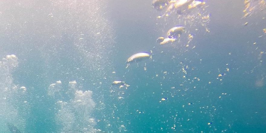 Okyanus altında çok miktarda hidrojen gaz rezervi