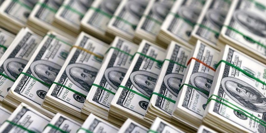 Merkez Bankası brüt döviz rezervleri 14,5 ayın zirvesinde