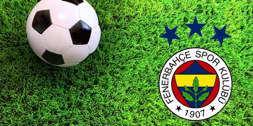 Fenerbahçe'ye yeni sponsor