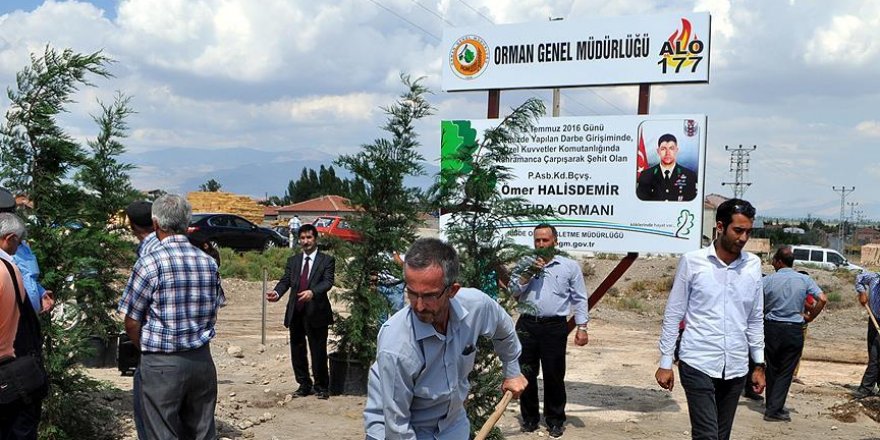 Şehit Ömer Halisdemir'in adı hatıra ormanında yaşatılacak
