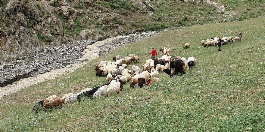 FETÖ'den 'destek primi' sahtekarlığı