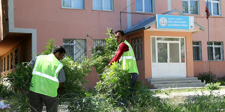 FETÖ'nün kız yurdunda Hint keneviri ele geçirildi