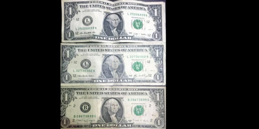 Akademisyenlerin üzerinden '1 dolar' çıktı